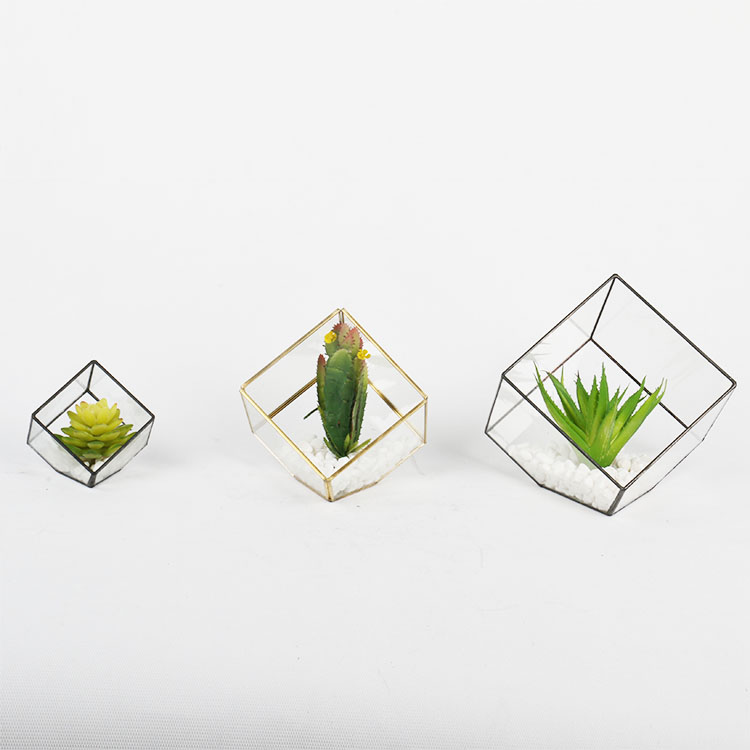4.7 Inch Geometric Terrarium Glass Planter Pot from the Youli collection by Xiamen Youli