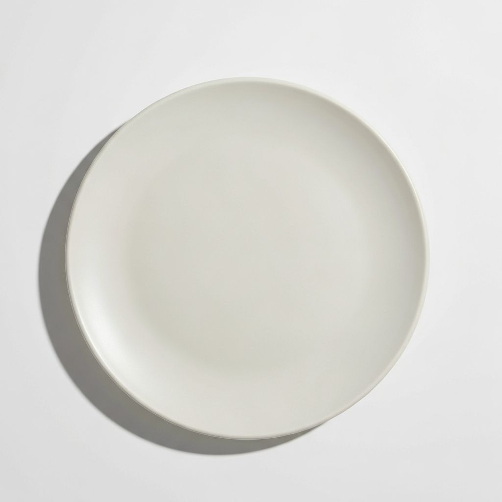 Matte Dinner Plate 10.5 Inch from the Youli collection by Xiamen Youli