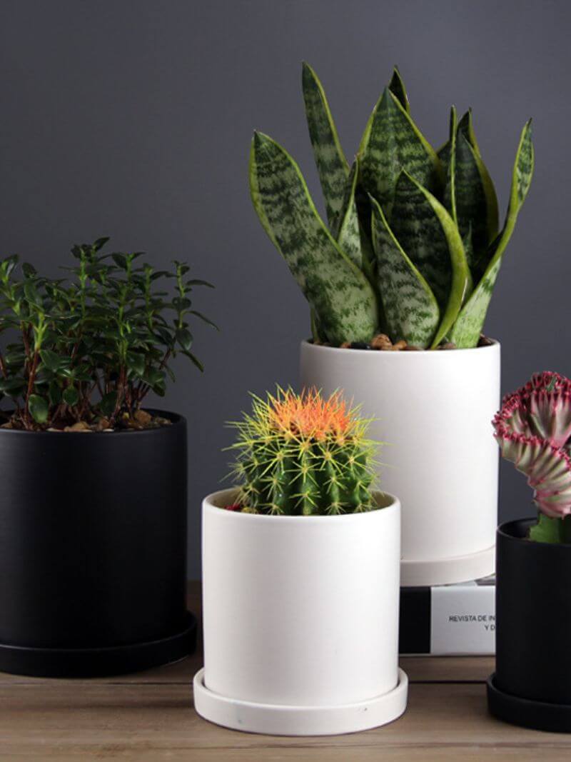Ceramic Vase Product Display from the Youli collection by Xiamen Youli