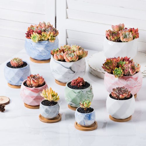 Animal Shape Ceramic Planter from the Youli collection by Xiamen Youli