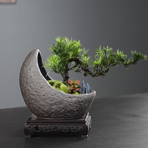 Ceramic Bonsai Pots from the Youli collection by Xiamen Youli