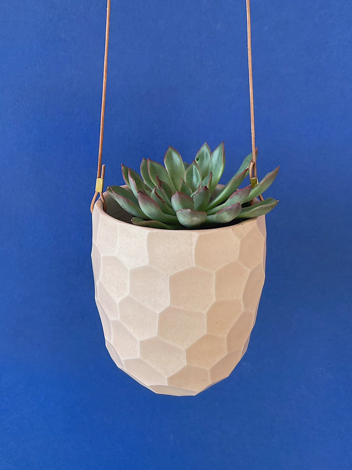 Ceramic Wall Hanging Planter 2 from the Youli collection by Xiamen Youli