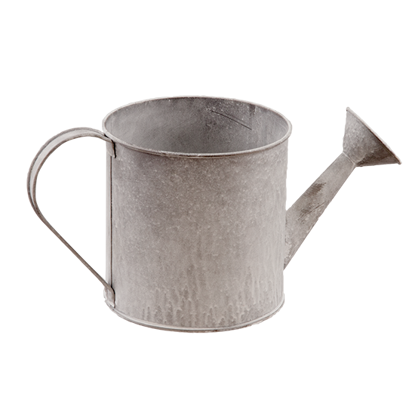 Decorative Watering Can Assortment 4 from the Youli collection by Xiamen Youli