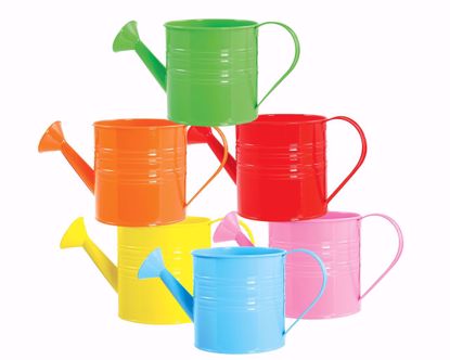 Decorative Watering Can Assortment 6 from the Youli collection by Xiamen Youli
