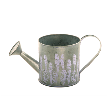 Decorative Watering Can Assortment 7 from the Youli collection by Xiamen Youli