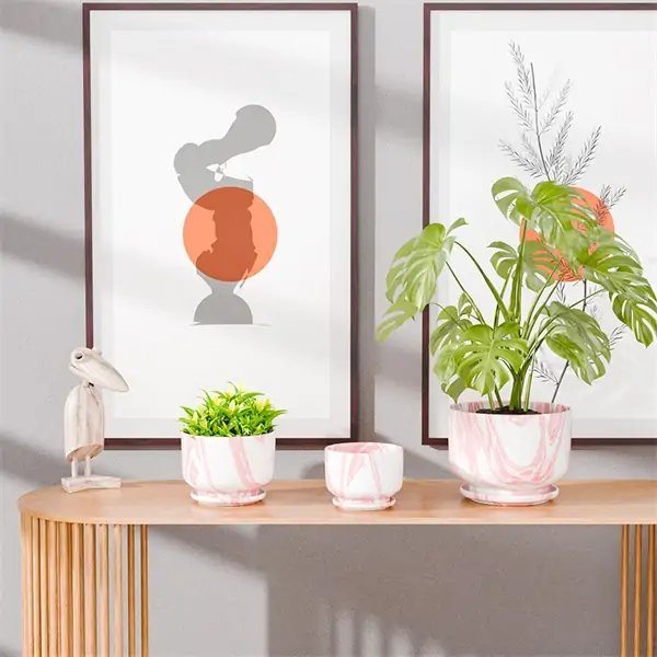 Marbled Ceramic Planter Set with Saucers