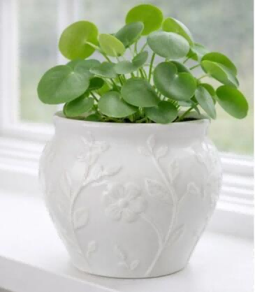 Ceramic Cement Decor UC-CM-0013 in Ceramic & Cement Decor, item UC-CM-0013